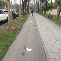 Von Passant_innen weggeworfener Müll auf dem Fahrradweg entlang der Parzivalstraße in München