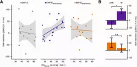 Abb 2. Zusammenhang zwischen offline Fähigkeitsveränderungen (ΔSkill 2–1) und dem kardiovaskulären Fitnessniveau (VO2peak). A) Korrelation zwischen offline Fähigkeitsveränderungen und dem kardiovaskulären Fitnessniveau für die drei Gruppen B) Die Interventionsgruppen unterteilt in fitte und weniger fitte Individuen.