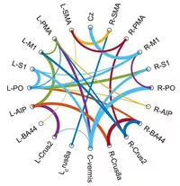 Network figure (Circular graph with simulated data)