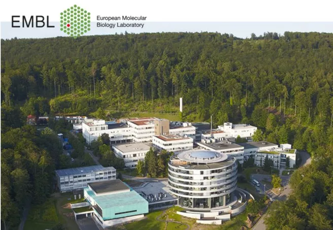 [Translate to en:] The EMBL laboratory outside of Heidelberg (www.embl.de)